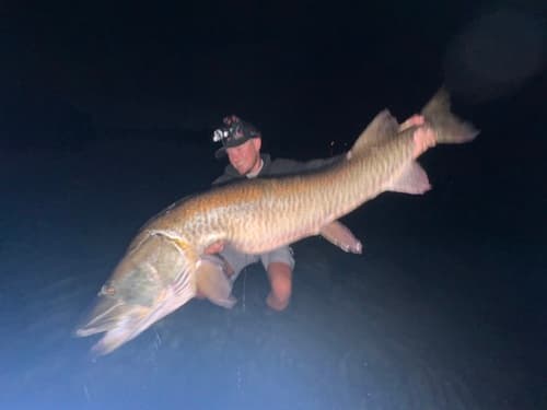 Muskellunge