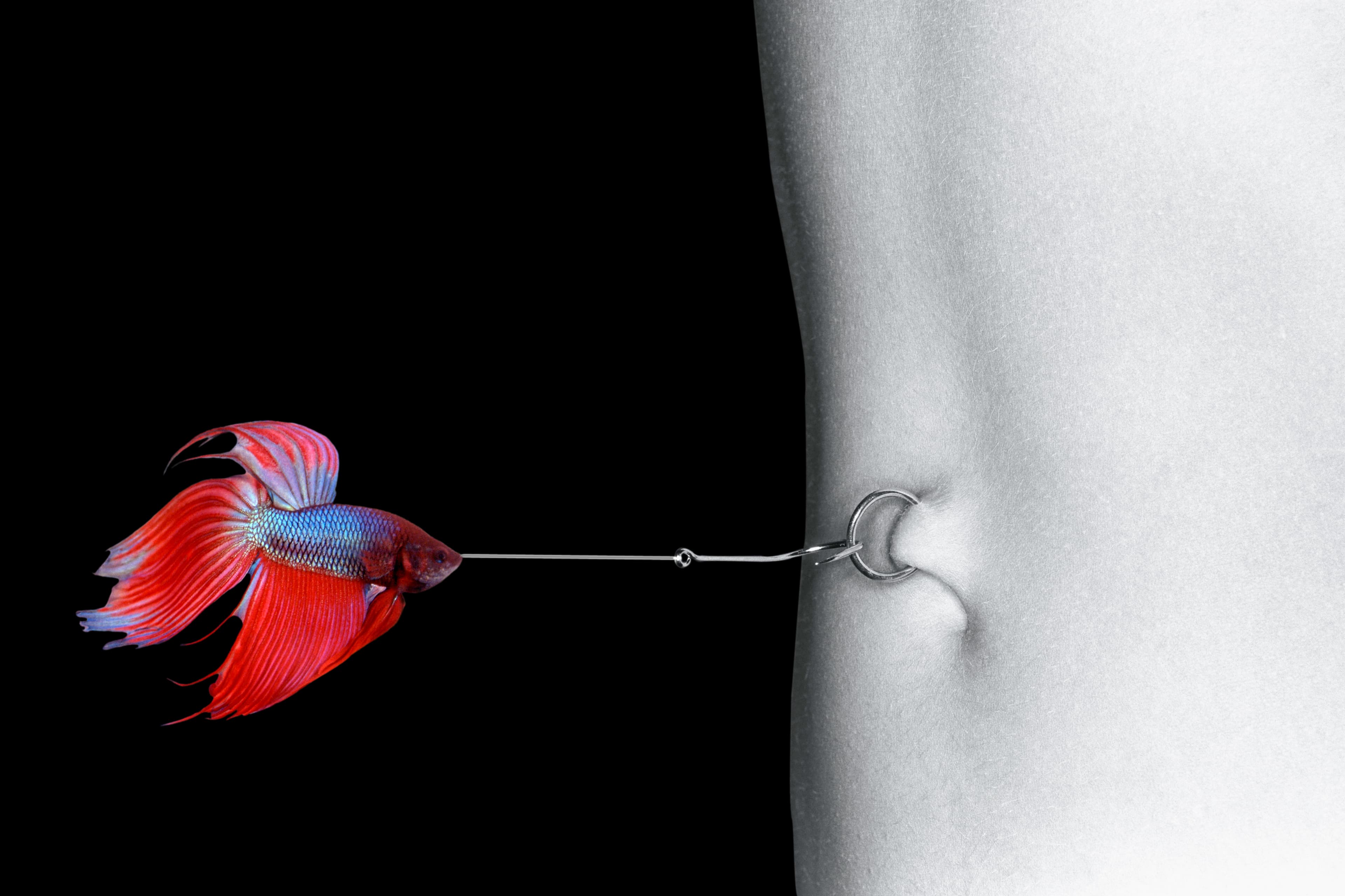 Betta Fish