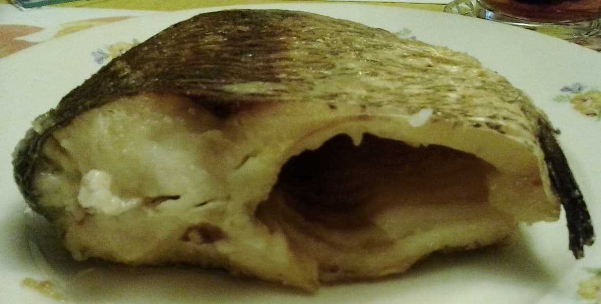 Common Bream