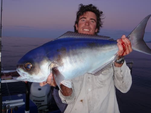 Ocean Blue-eye Trevalla