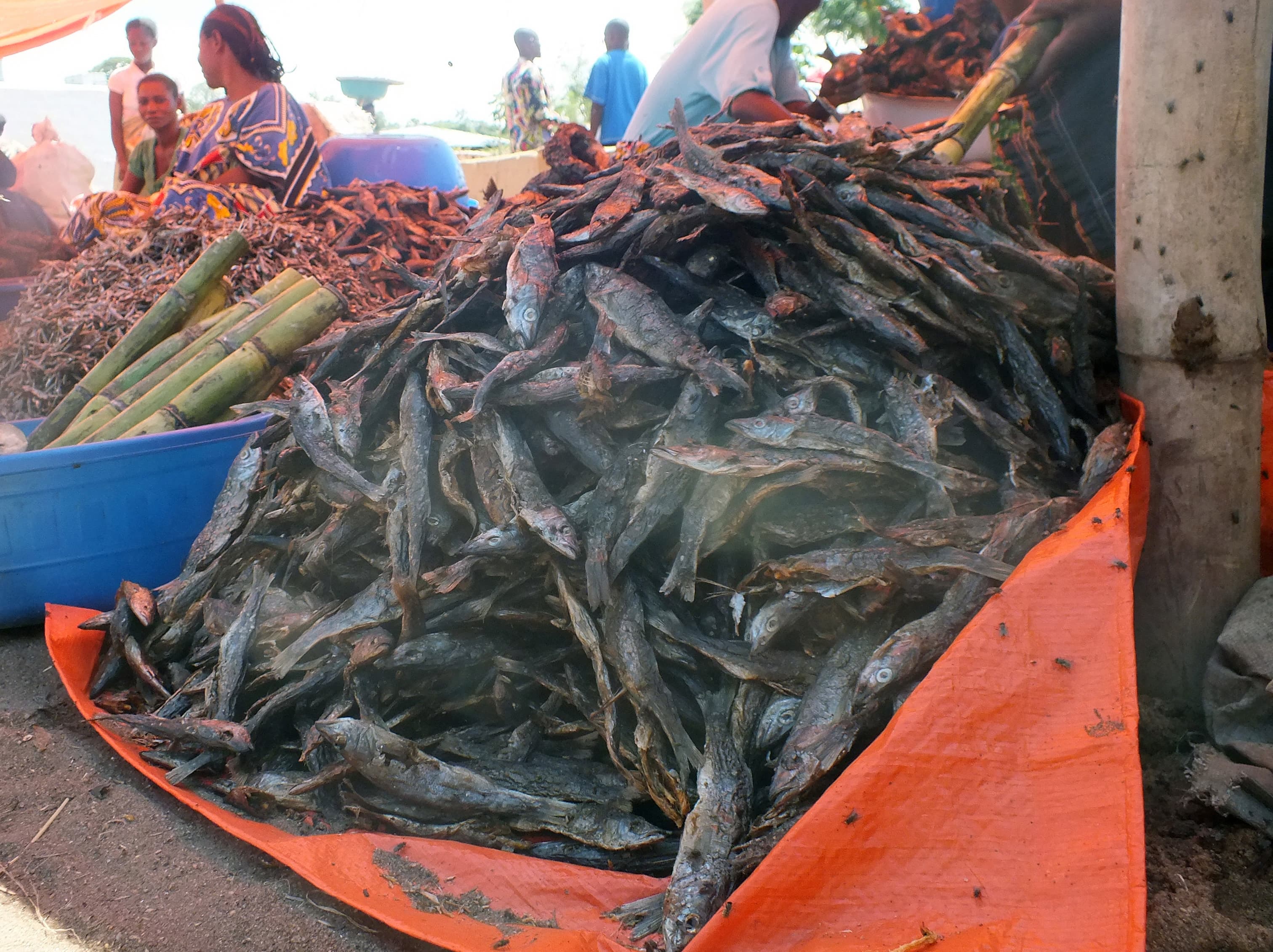 Dried Lake Tanganyika Fish (Food Fish)
