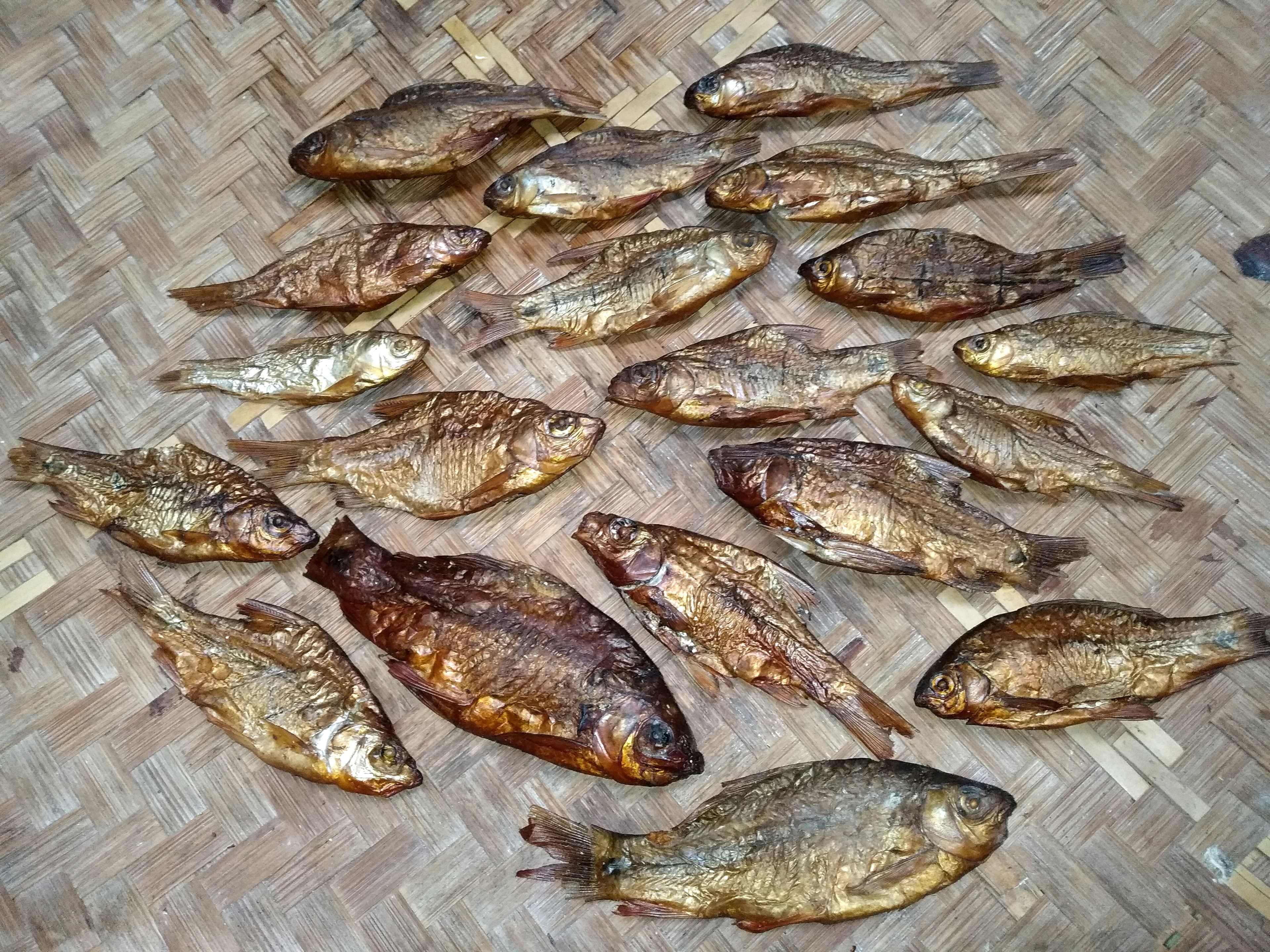 Smoked Cyprinid Fish