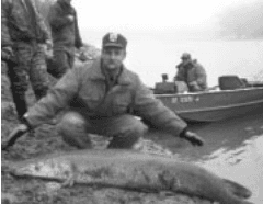 Alligator Gar