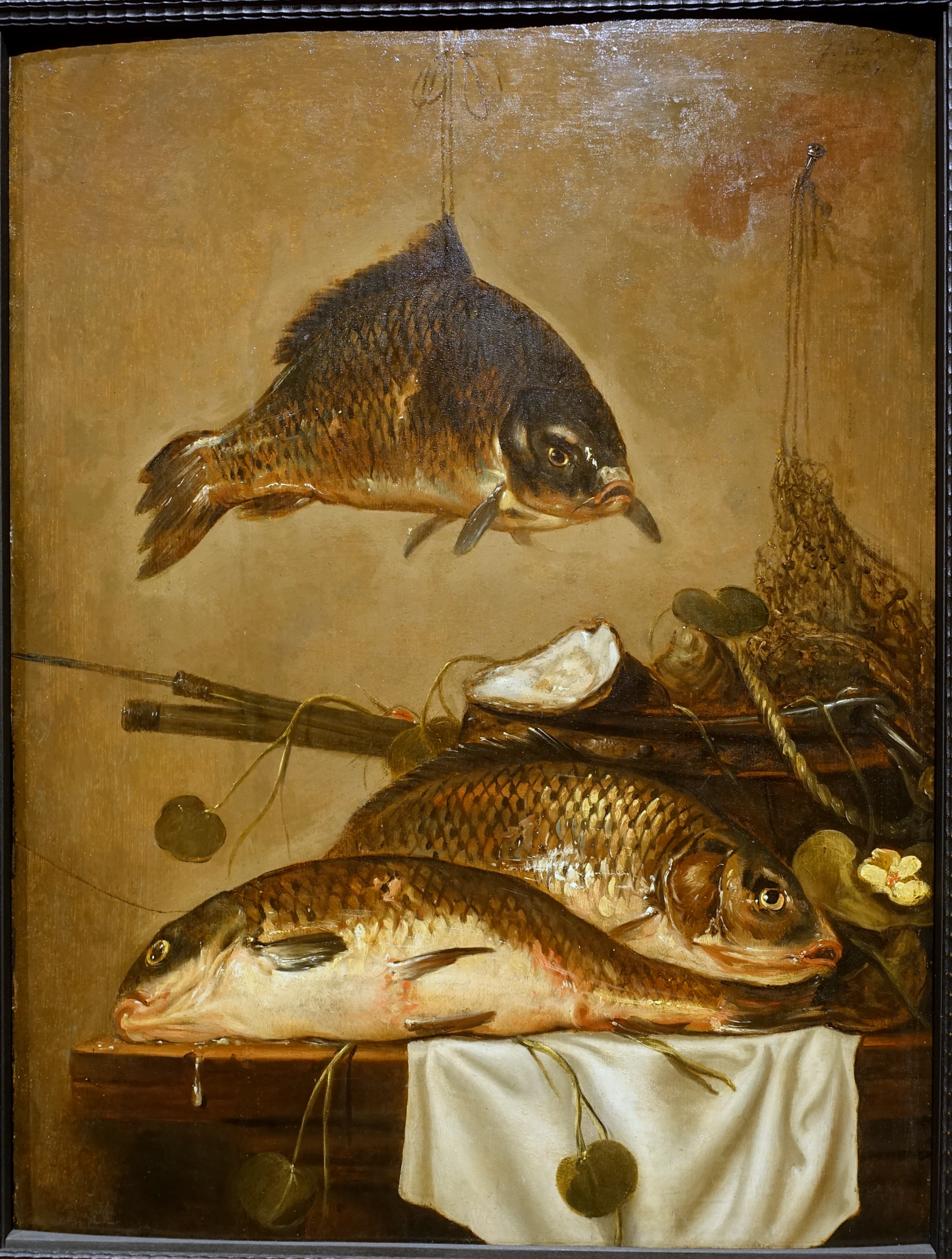Common Carp